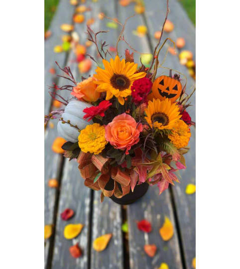 Pop Of Pumpkins. An arrangement by Flower Snobs at Cityview.