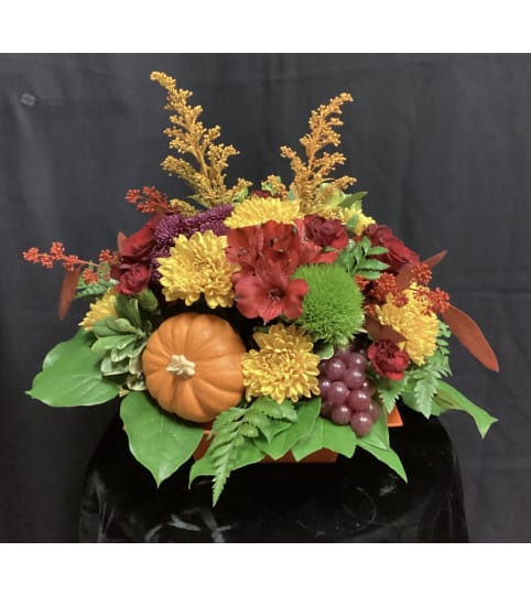 Pumpkin Bliss. An arrangement by Roma Flowers and Gifts.