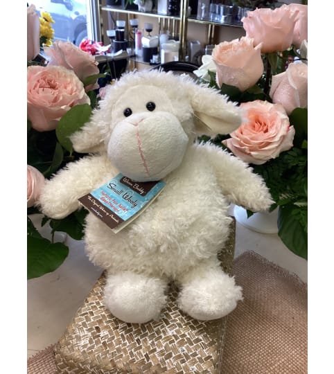 Sheep Warm Buddy. An arrangement by Roma Flowers and Gifts.
