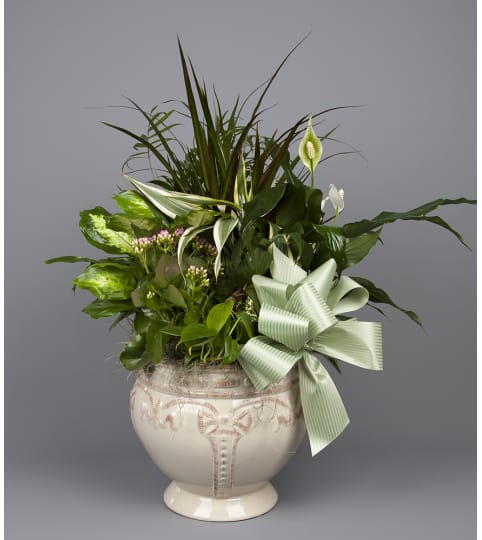 Forked River Dish Garden. An arrangement by Forked River Florist.