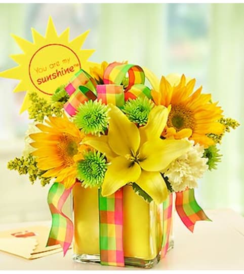 All Wrapped Up™ - Yellow. An arrangement by Blessing and Blooms Florist.