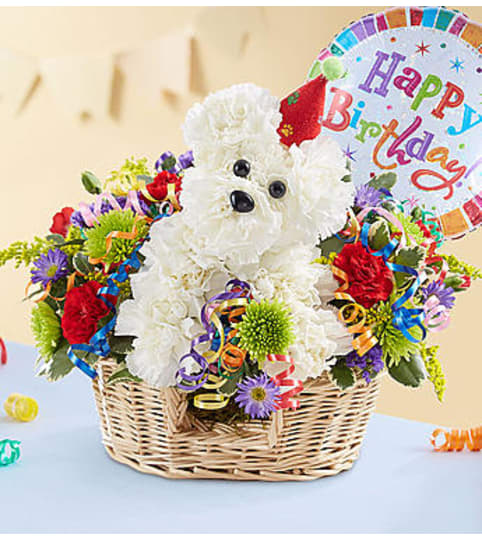 Another Year Rover™. An arrangement by Susana's Flowers.
