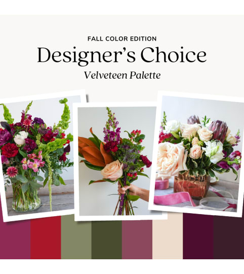 Velveteen™ Designer's Choice. An arrangement by Aurora Greenhouse.