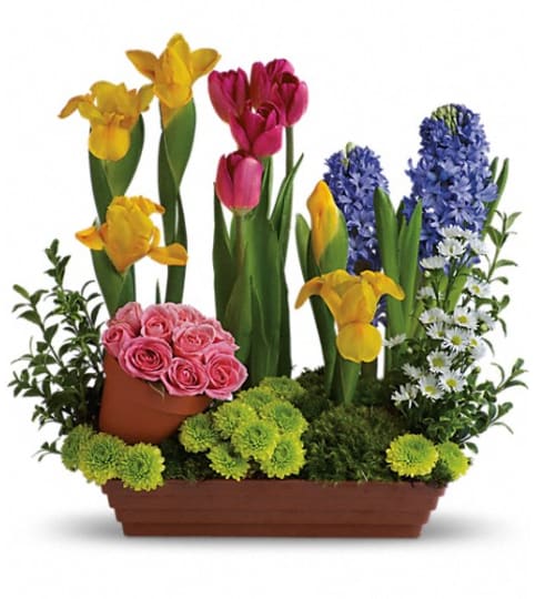 Spring Favorites Floral Arrangement