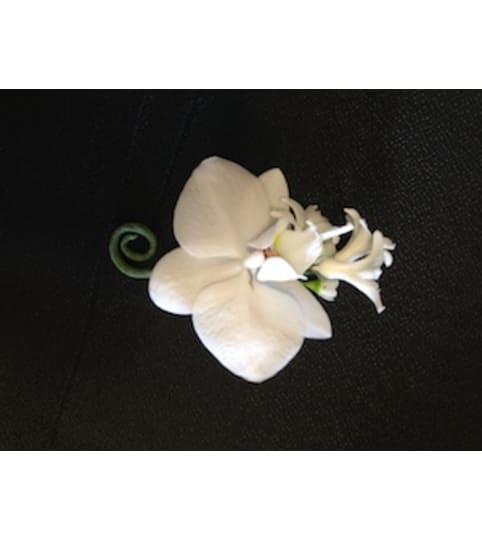 phalaenopsis boutonniere