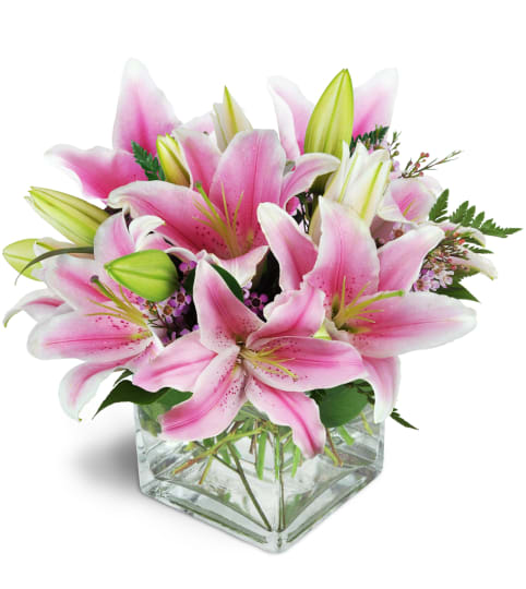 Pink Delight™. An arrangement by Event Connoisseur Flowers and Gifts.