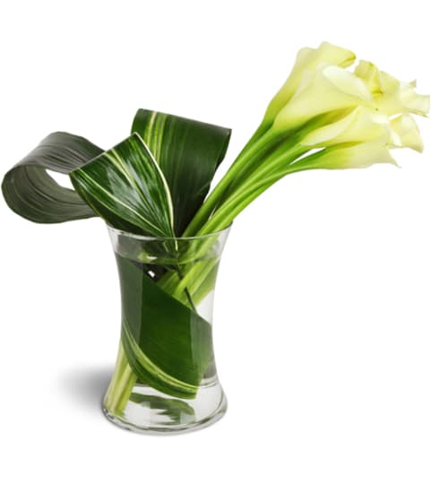 Classic Elegance Calla Vase™