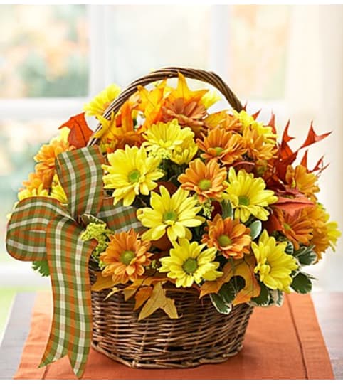 Fall Daisy Basket. An arrangement by Susana's Flowers.