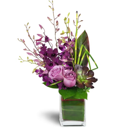 Orchid Jewels™. An arrangement by Strawberry Fields Flowers and Gifts.