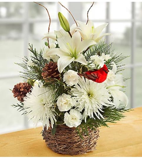 Wintertime Birds Nest of Flowers. An arrangement by Susana's Flowers.
