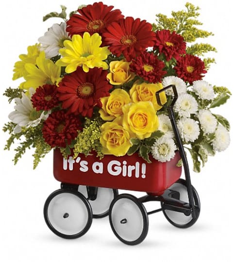 Baby's Wow Wagon by Teleflora - Girl. An arrangement by Pompano Beach Floral.