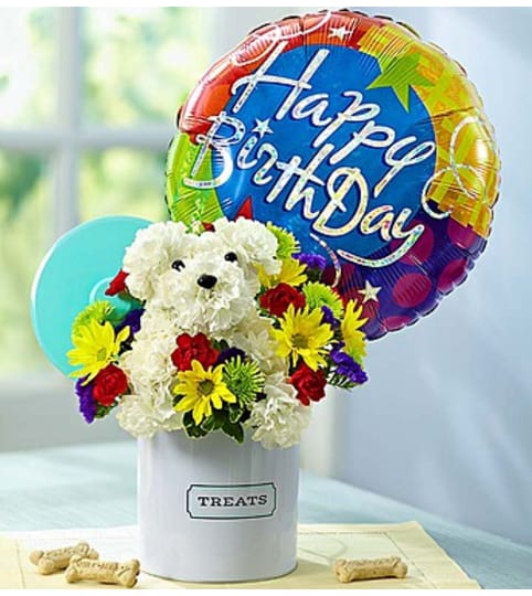 a-DOG-able® in Treats Canister. An arrangement by Blessing and Blooms Florist.