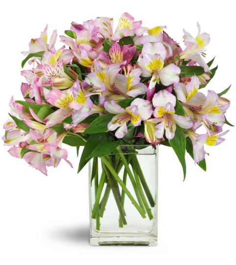 Lively Lilies™. An arrangement by Alice Octavia Floral Shoppe.