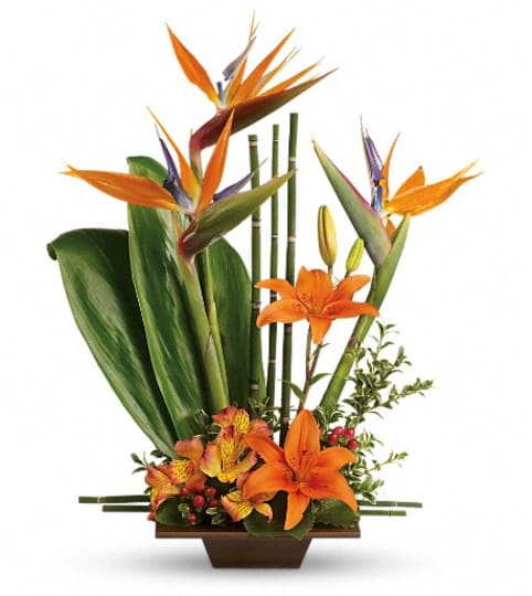Teleflora's Exotic Grace. An arrangement by My Bloomin Shop.
