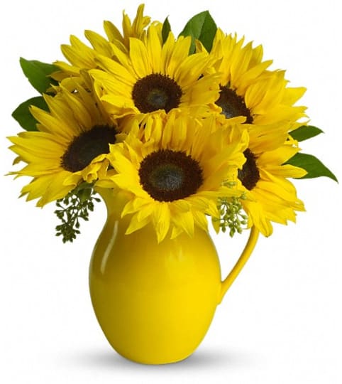 Teleflora's Sunny Day Pitcher of Sunflowers