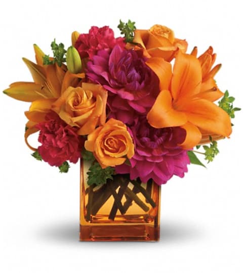 Teleflora's Summer Chic. An arrangement by My Bloomin Shop.