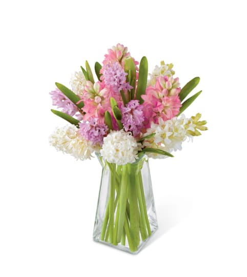 The FTD® Pure Perfection™ Hyacinth Bouquet. An arrangement by Country Cousins Flower Shop.