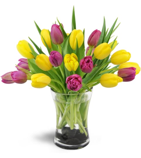 Springtime Duet™. An arrangement by Rocio Flower Shop.
