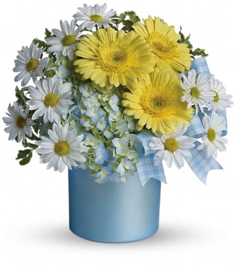 Teleflora's Once Upon a Daisy. An arrangement by Pompano Beach Floral.