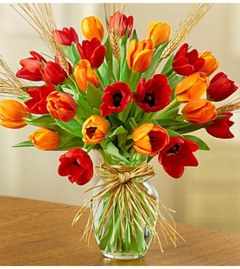 Timeless Tulips™ for Fall. An arrangement by Blessing and Blooms Florist.