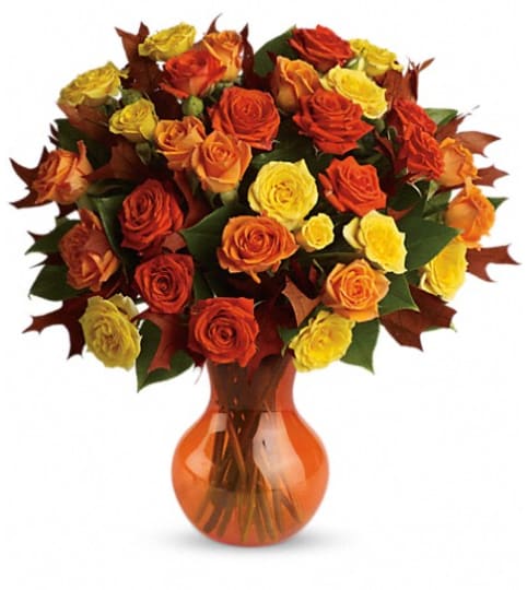 Teleflora's Fabulous Fall Roses