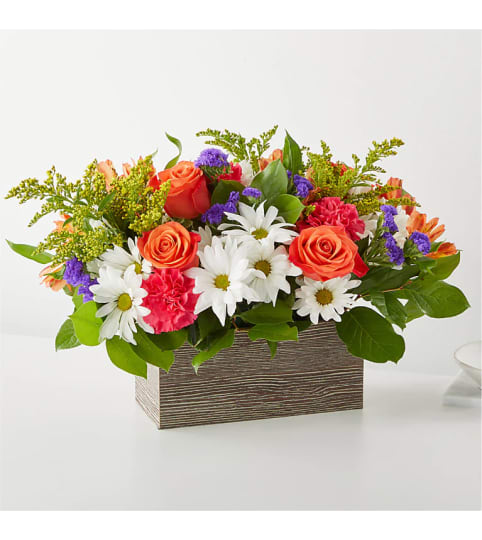 The Oopsie Daisy Box Bouquet XL