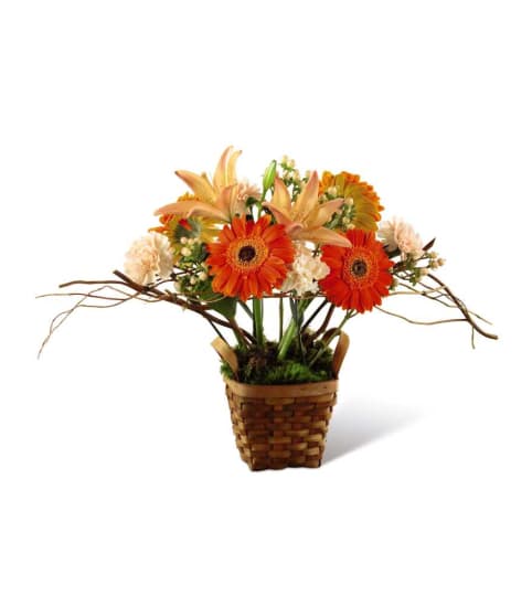 The FTD® Bright Day™ Arrangement. An arrangement by Country Cousins Flower Shop.