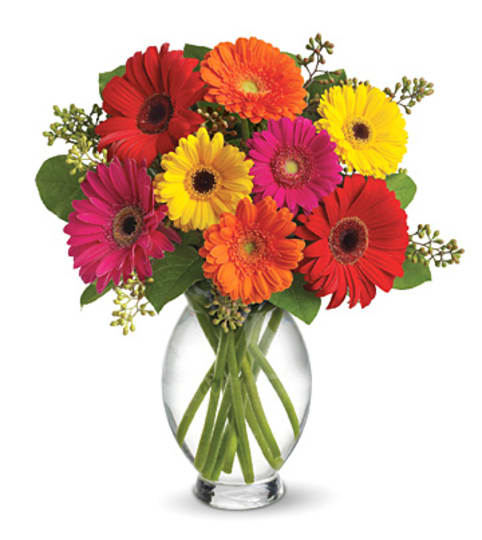 Teleflora's Gerbera Brights Bouquet