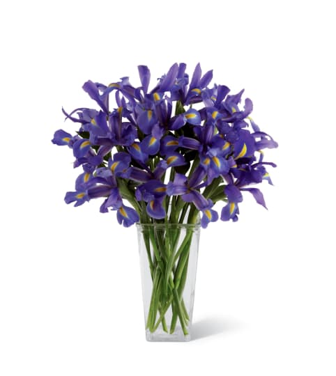 The FTD® Iris Riches™ Bouquet. An arrangement by Country Cousins Flower Shop.