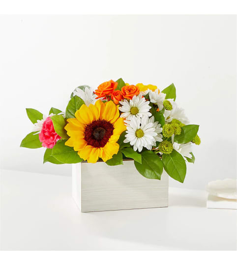 The Sun-Drenched Blooms Box