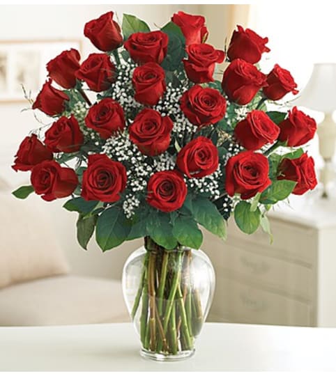 Rose Elegance - 24 Red Roses
