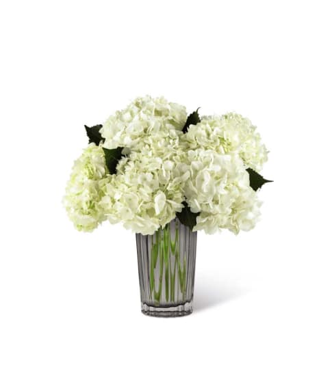The FTD® Ivory Hydrangea Bouquet by Vera Wang. An arrangement by Country Cousins Flower Shop.