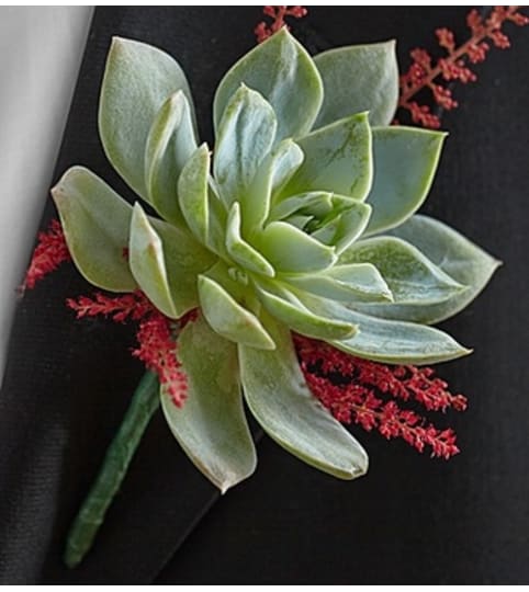 Vineyard Wedding Boutonniere