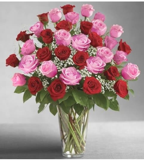 Ultimate Elegance™ Long Stem Pink and Red Roses. An arrangement by Susana's Flowers.