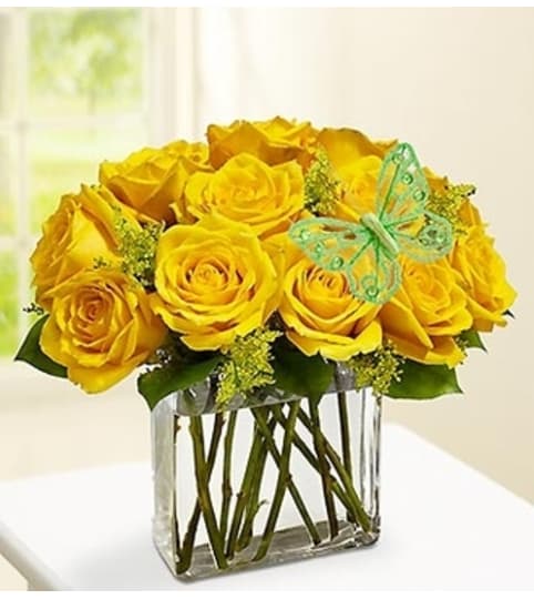 Modern Roses - One Dozen Yellow