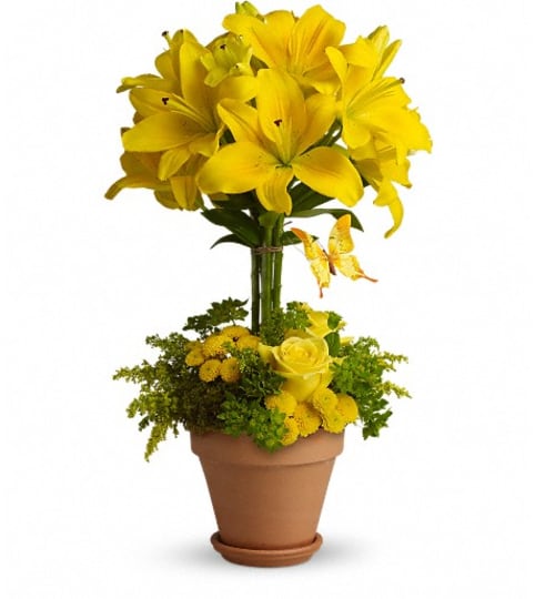 Yellow Fellow. An arrangement by The Flower Boutique.