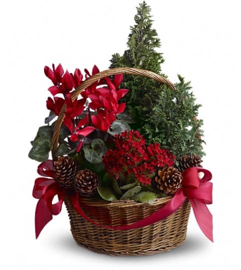 Tannenbaum Basket