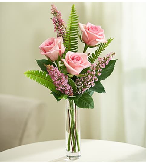 Love's Embrace™ Roses - Pink. An arrangement by Susana's Flowers.