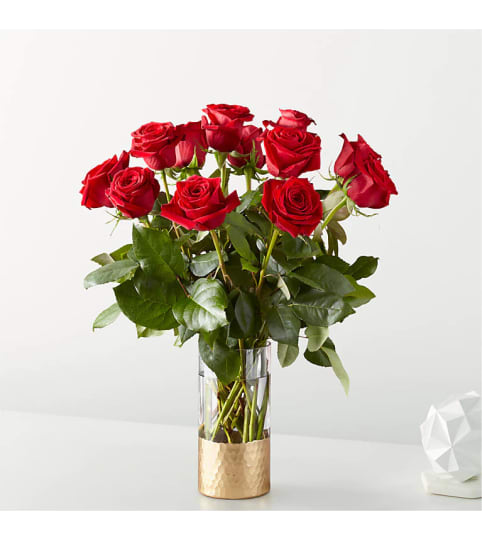 A Classic Love Red Rose - Exquisite