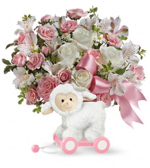 Teleflora's Sweet Little Lamb - Baby Pink. An arrangement by Pompano Beach Floral.