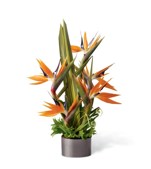 The FTD® Tropical Bright™ Arrangement