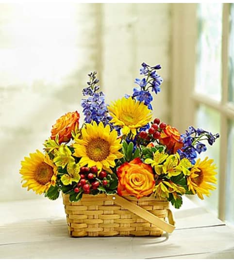 Blooming Basket Arrangement. An arrangement by Susana's Flowers.