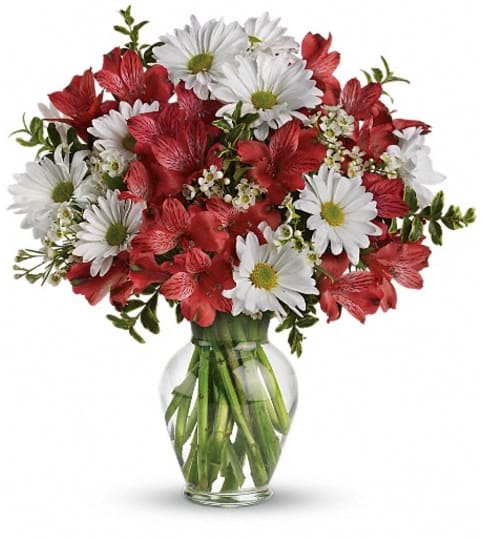 Dancing in Daisies. An arrangement by Pompano Beach Floral.