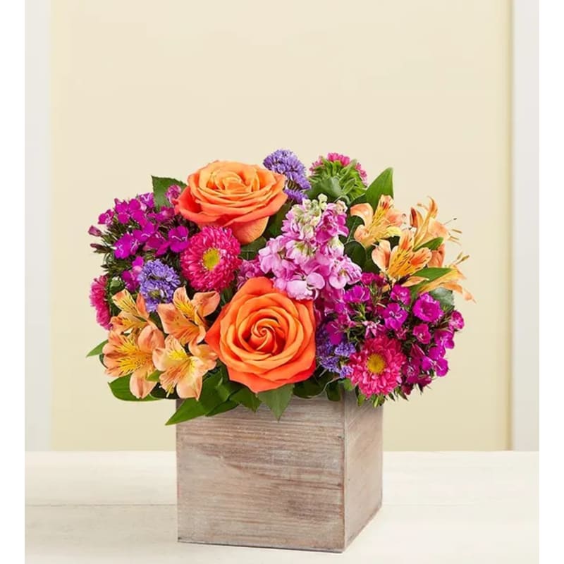 Deluxe product image