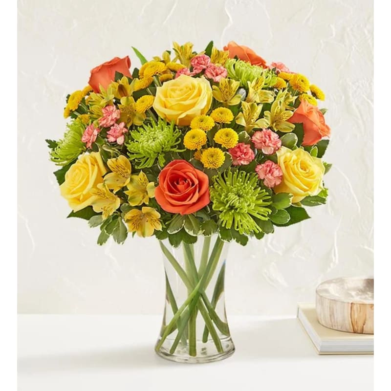 Premium product image