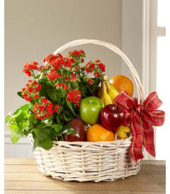 Garden S Paradise Basket