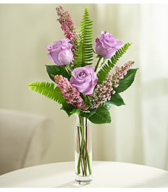 loves embrace roses purple