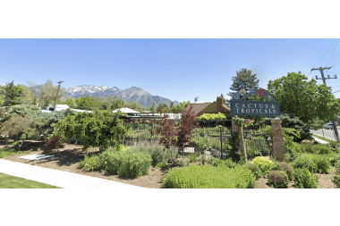 Twigs Flower Company florist arranging flowers