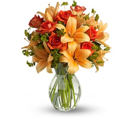 fiery lily and rose