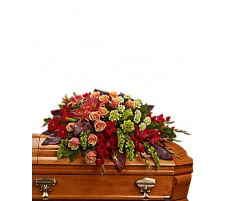 tender sympathy